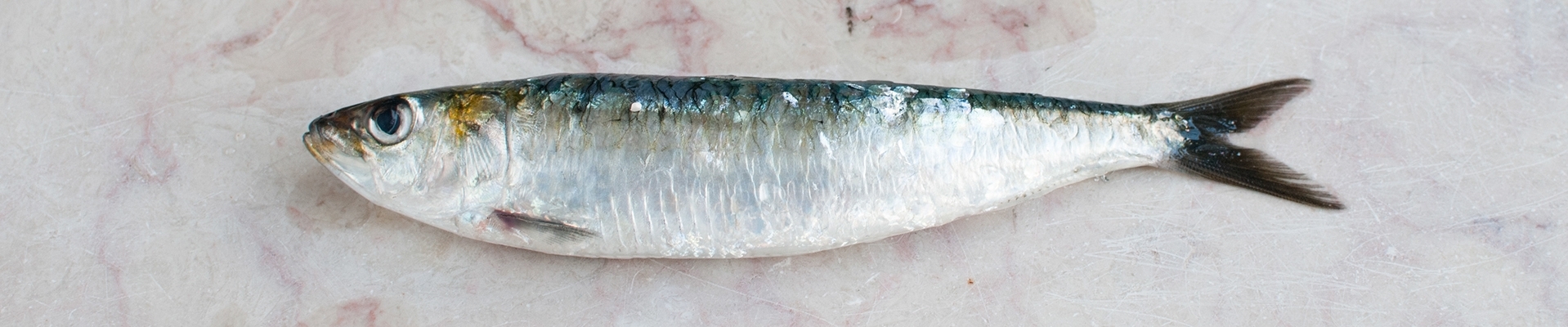 Arroz de sardinhas à Pescador 