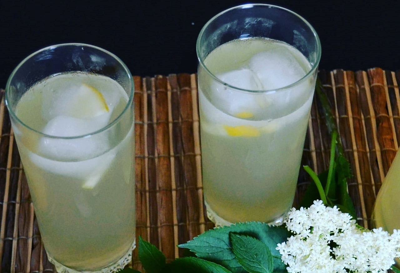 Limonada com flores de sabugueiro
