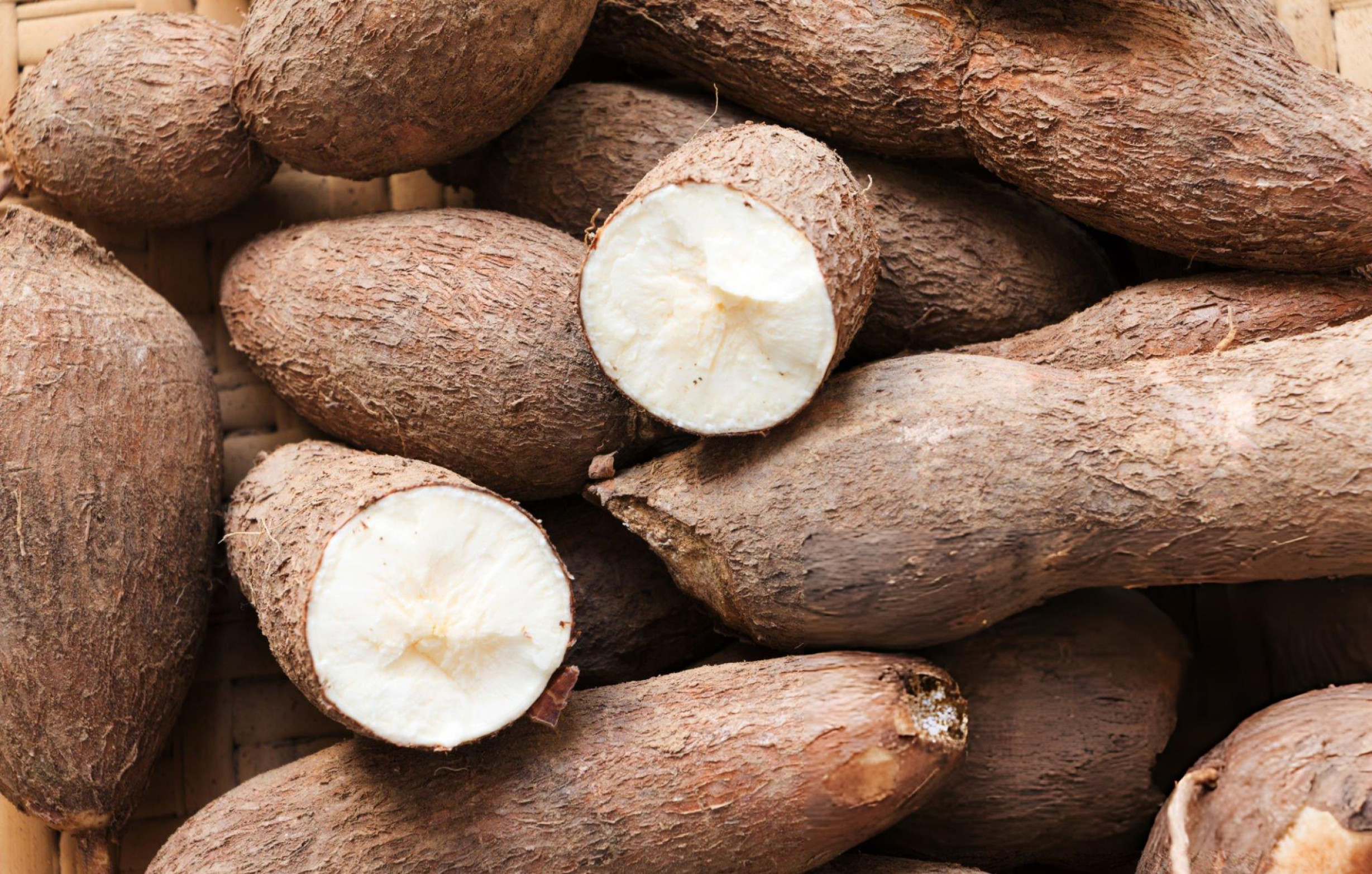 Showcooking na Vila - Mandioca