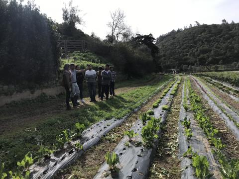 Uma manhã na horta com o MIAC