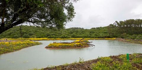 Quinta do Pisão