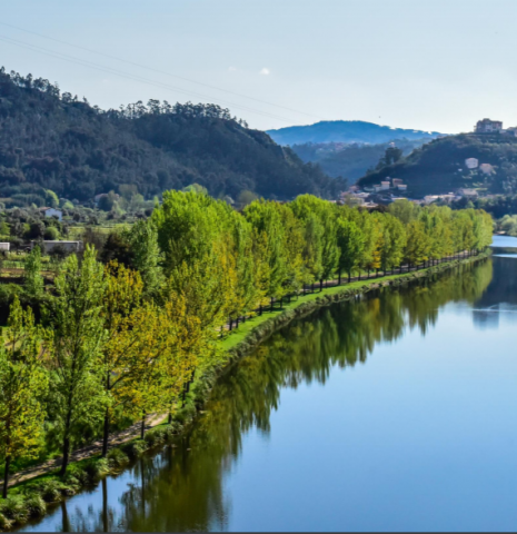 Coimbra Região Europeia de Gastronomia 2021