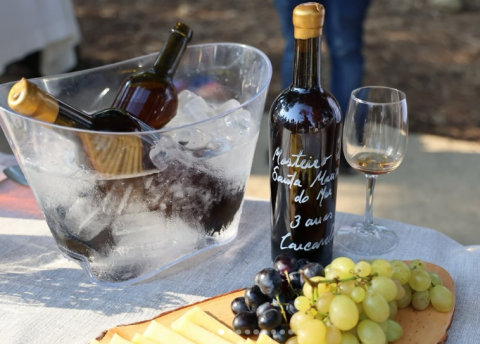 Prova comentada de Vinho de Carcavelos by Rodolfo Tristão