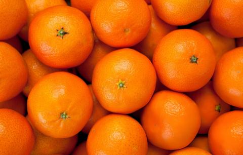 Showcooking na Vila - Clementina