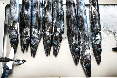 Showcooking na Vila - Peixe-espada