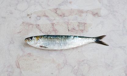 Arroz de sardinhas à Pescador 