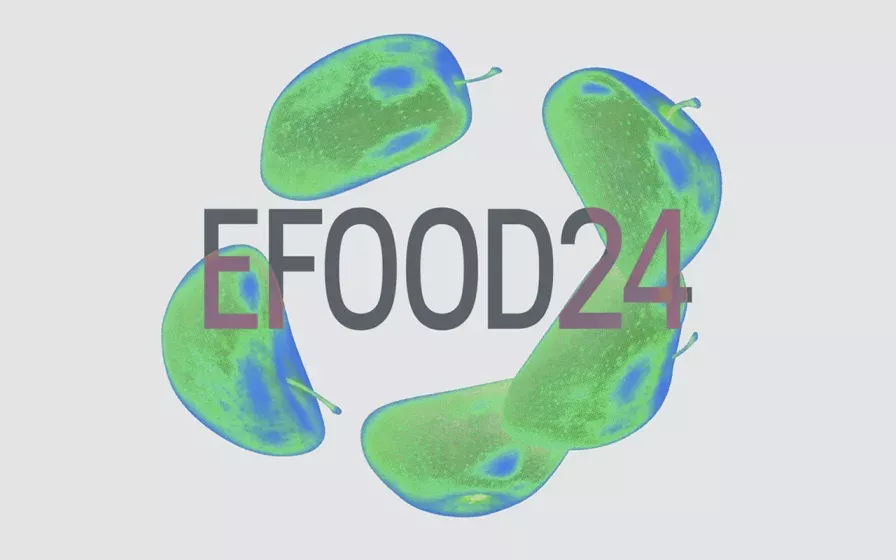 EFOOD2024 - 4ª Conferência Internacional de Design Alimentar e Estudos Alimentares